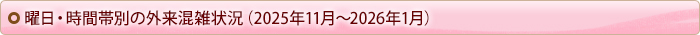 曜日・時間帯別の外来混雑状況（2025年10～12月）