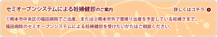 セミオープンシステムによる妊婦健診のご案内