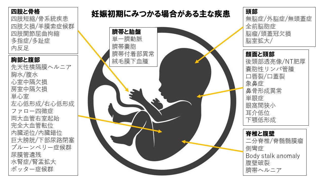 妊娠初期にみつかる場合がある主な疾患