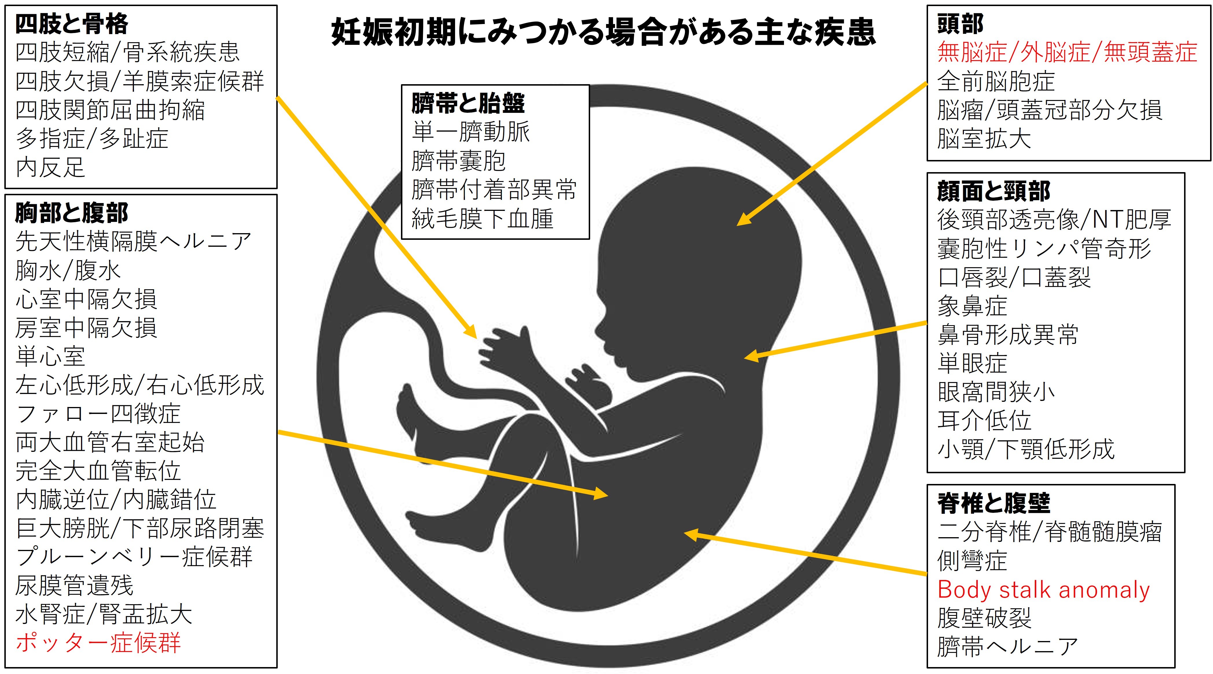 妊娠初期にみつかる場合がある主な疾患
